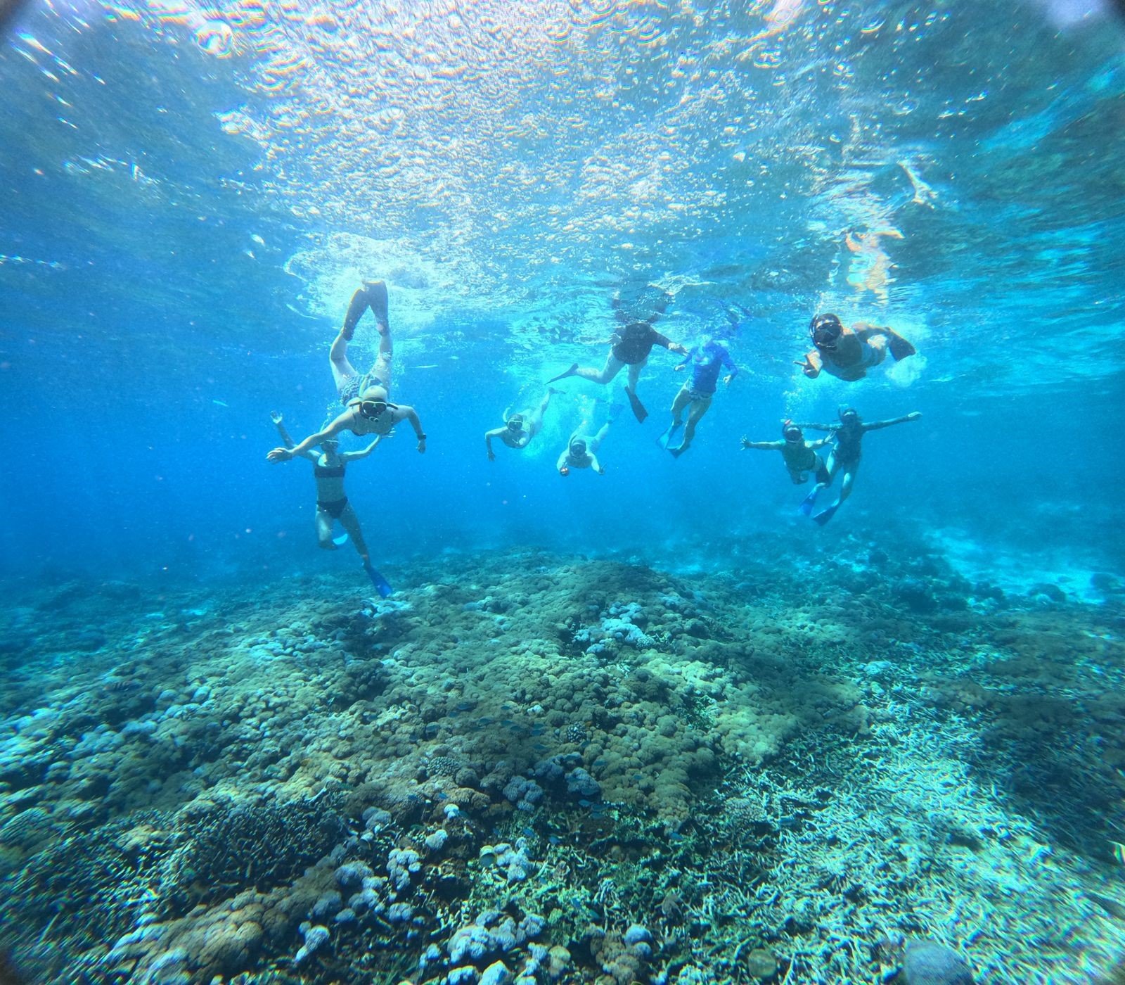 Group of people snorkeling underwater above a coral reef.