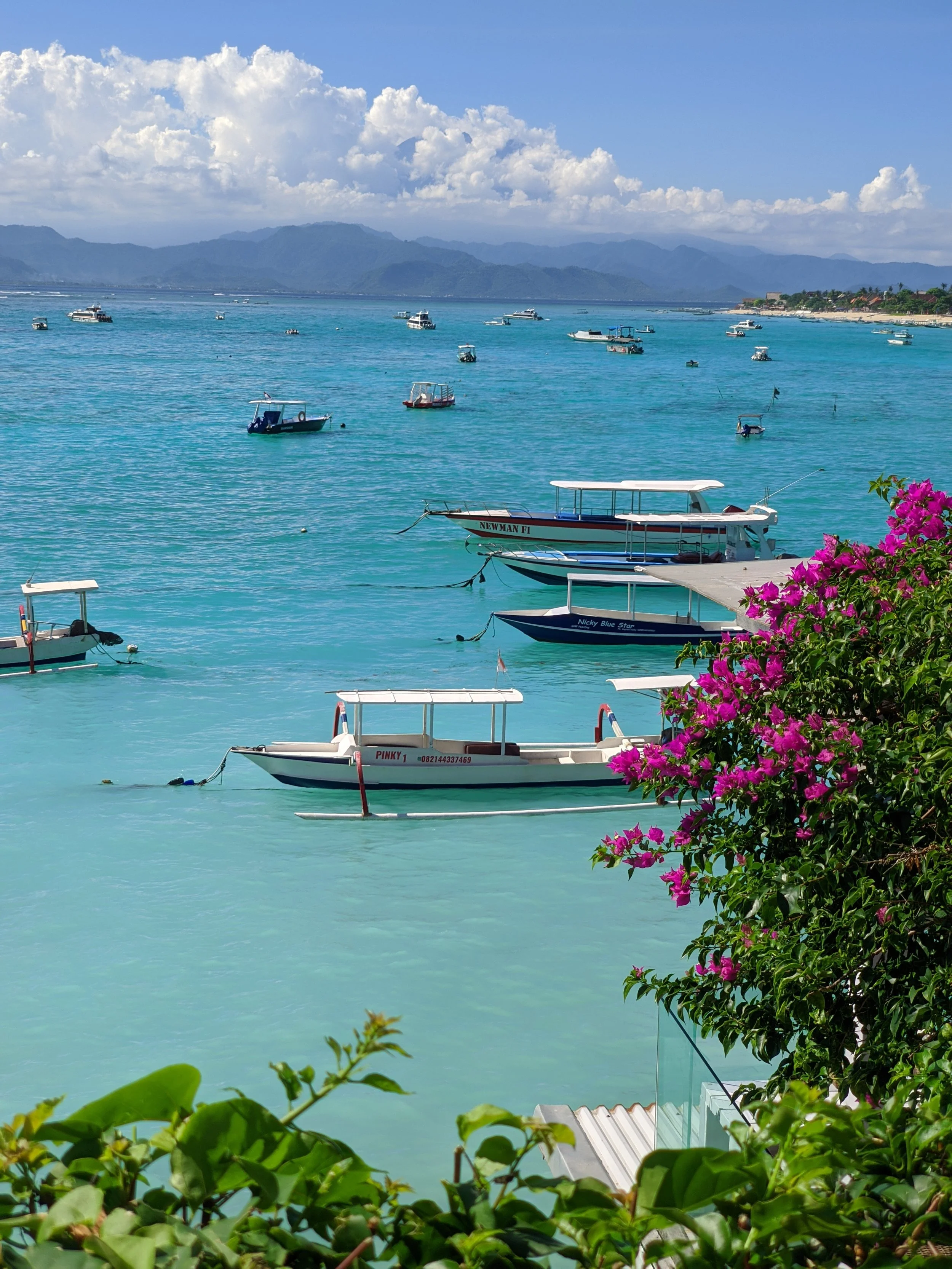 Boats anchored in a turquoise bay with lush greenery and pink flowers in the foreground, mountains and cloudy sky in the background.