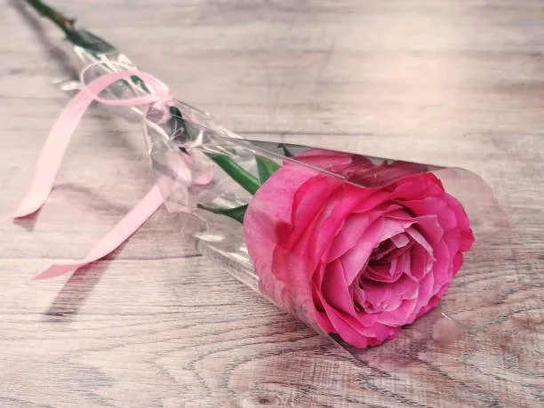Single Rose