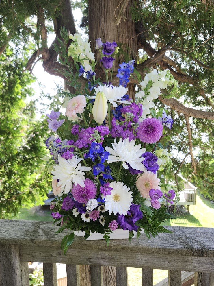 beautiful purple.jpg