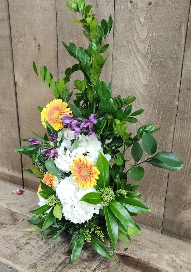 "Tall Fall Loveliness"