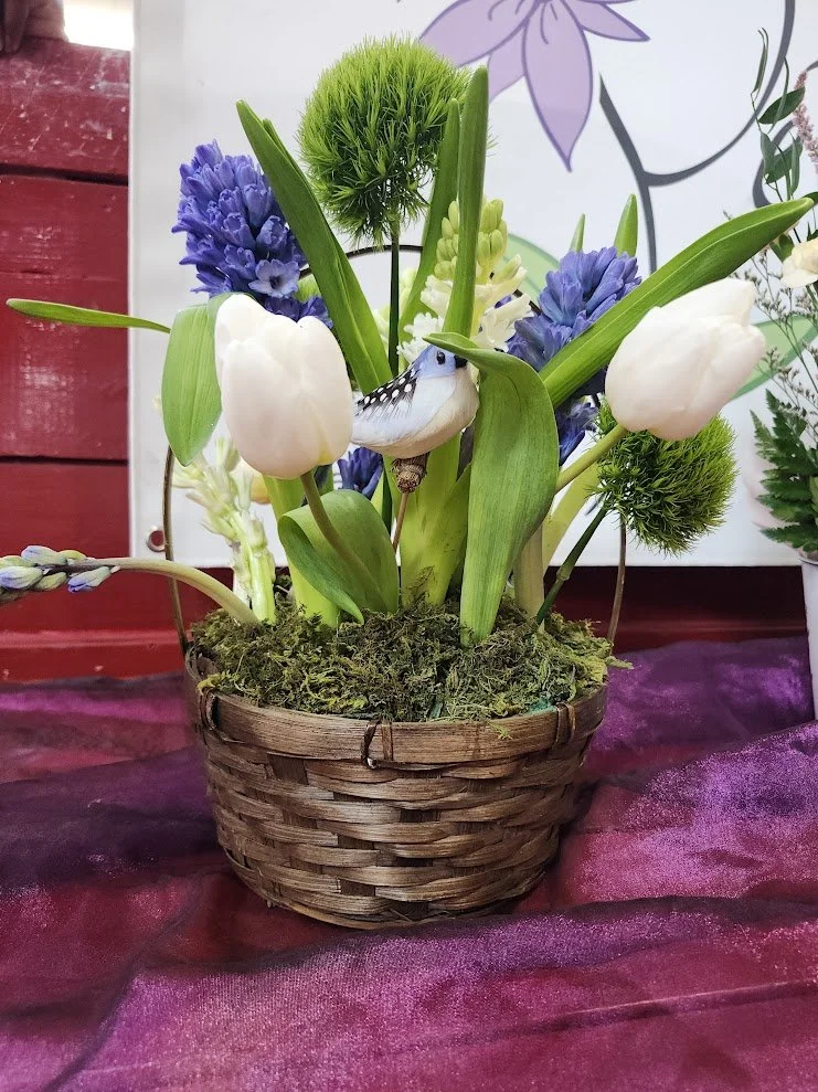 bird in basket.jpg