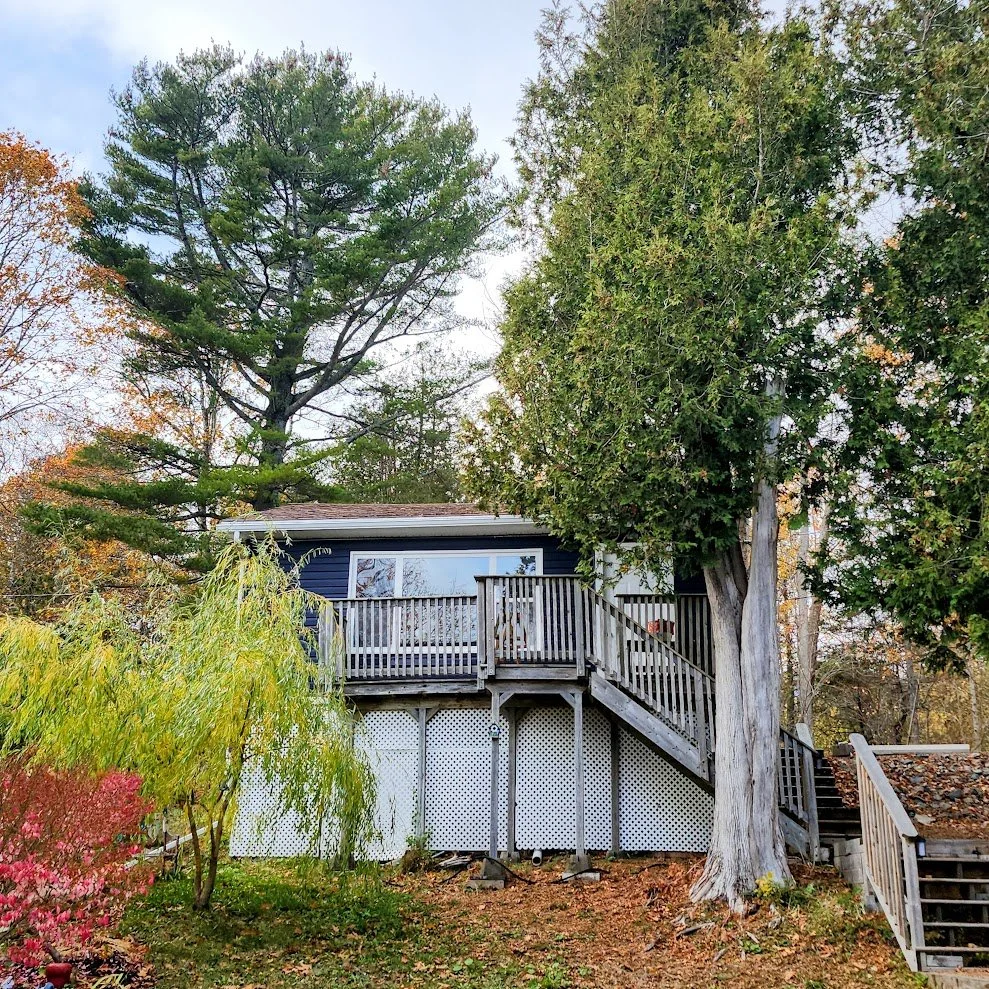 A house with a wooden deck accessed by stairs, surrounded by tall trees and some colorful shrubs, with fallen leaves on the ground.