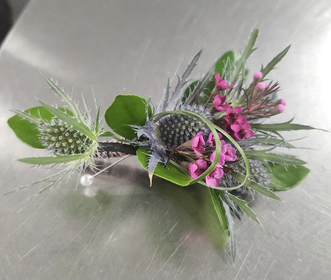 Blue Thistle and waxflower Boutonniere