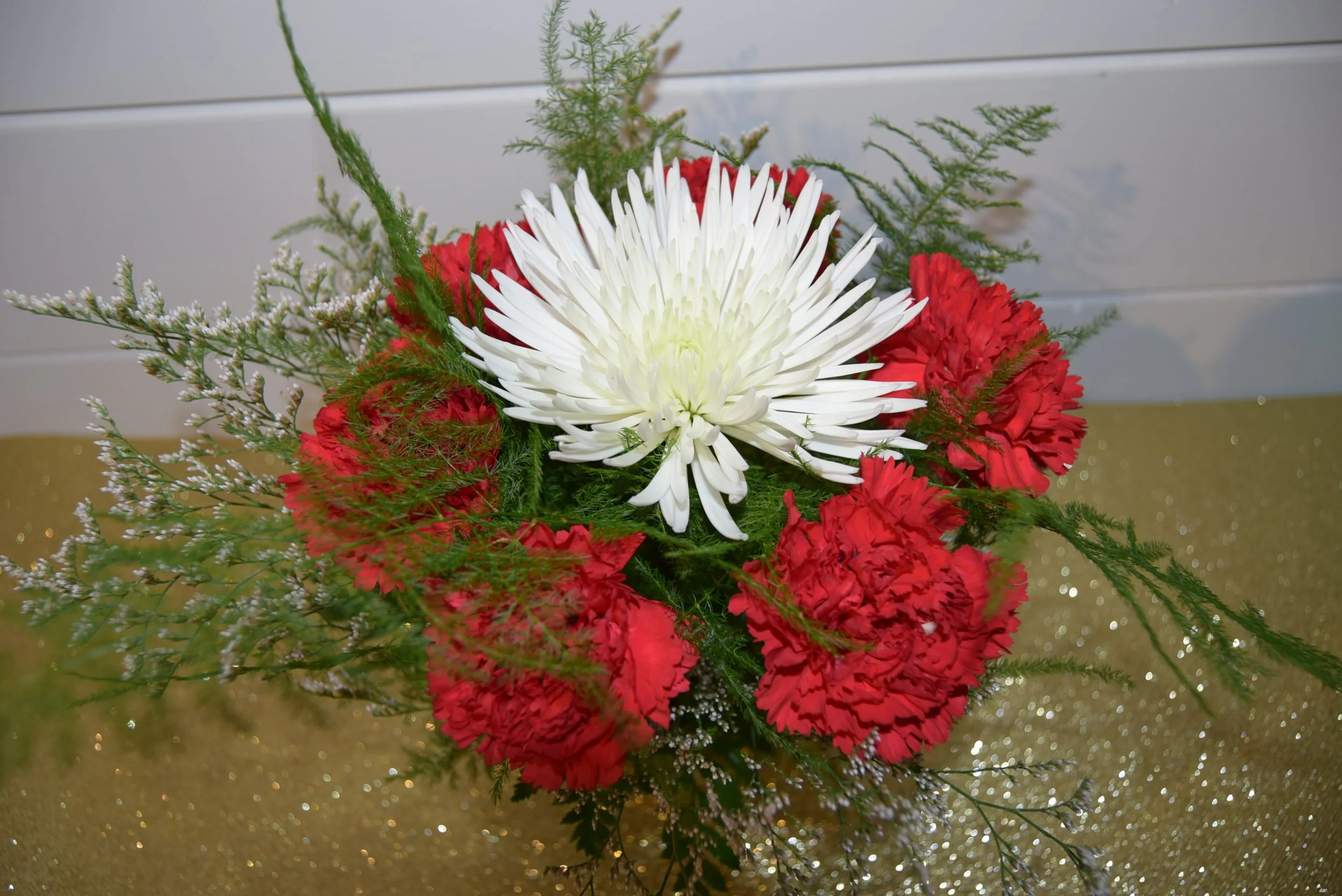 Anastasia with red Carnations