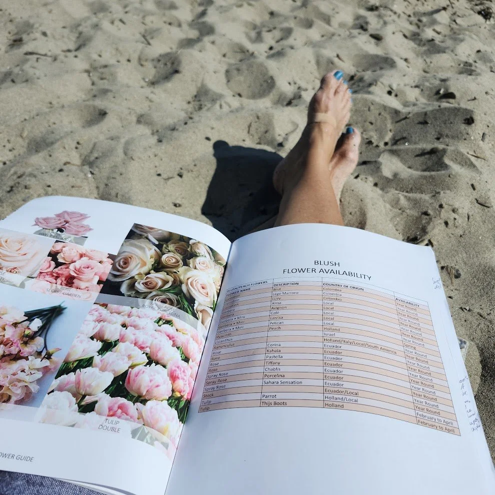 Person relaxing on a sandy beach with an open flower catalog showing images of pink, white, and peach roses and tulips.