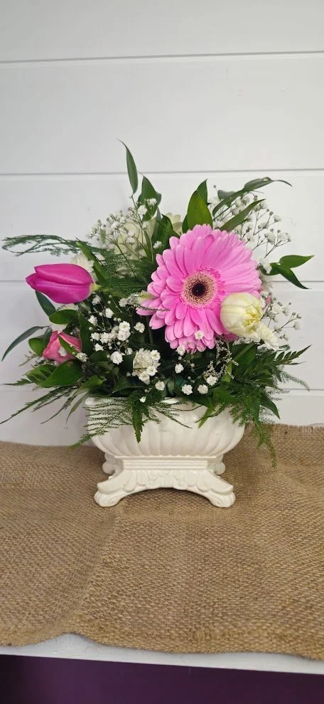 gerbera elegance.jpg