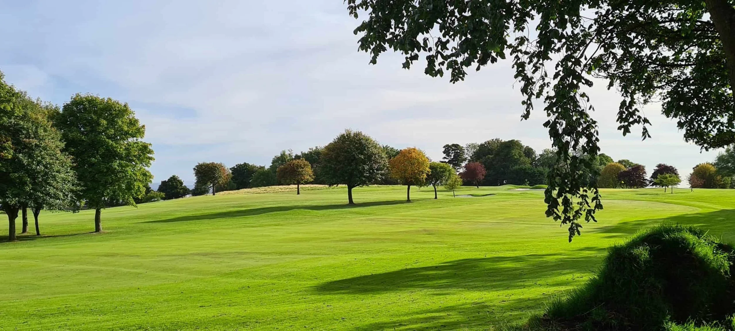 Who’s afraid of the big bad upgrade?