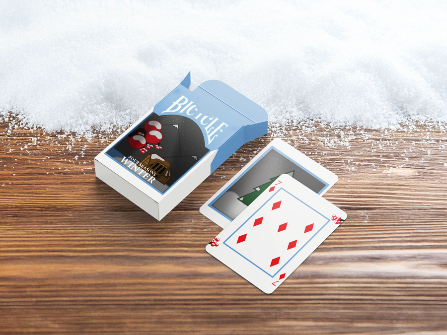 Bicycle Winter Set Redesign