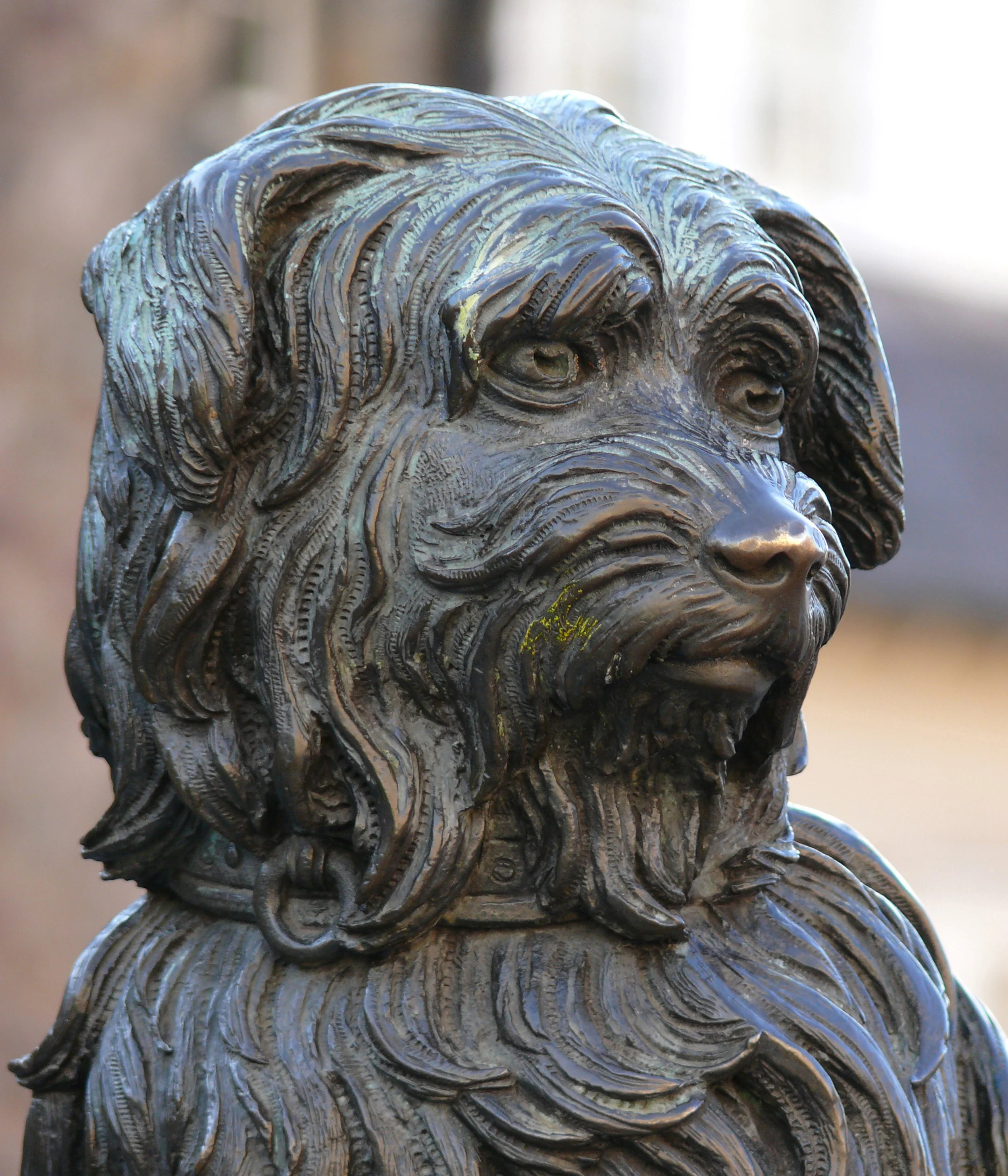 Pourquoi Edimbourg aime autant les chiens