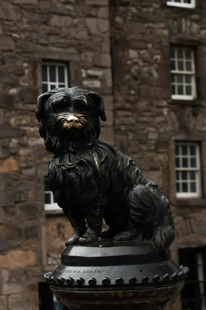 Greyfriars Bobby : légende de fidélité ou arnaque géniale ?