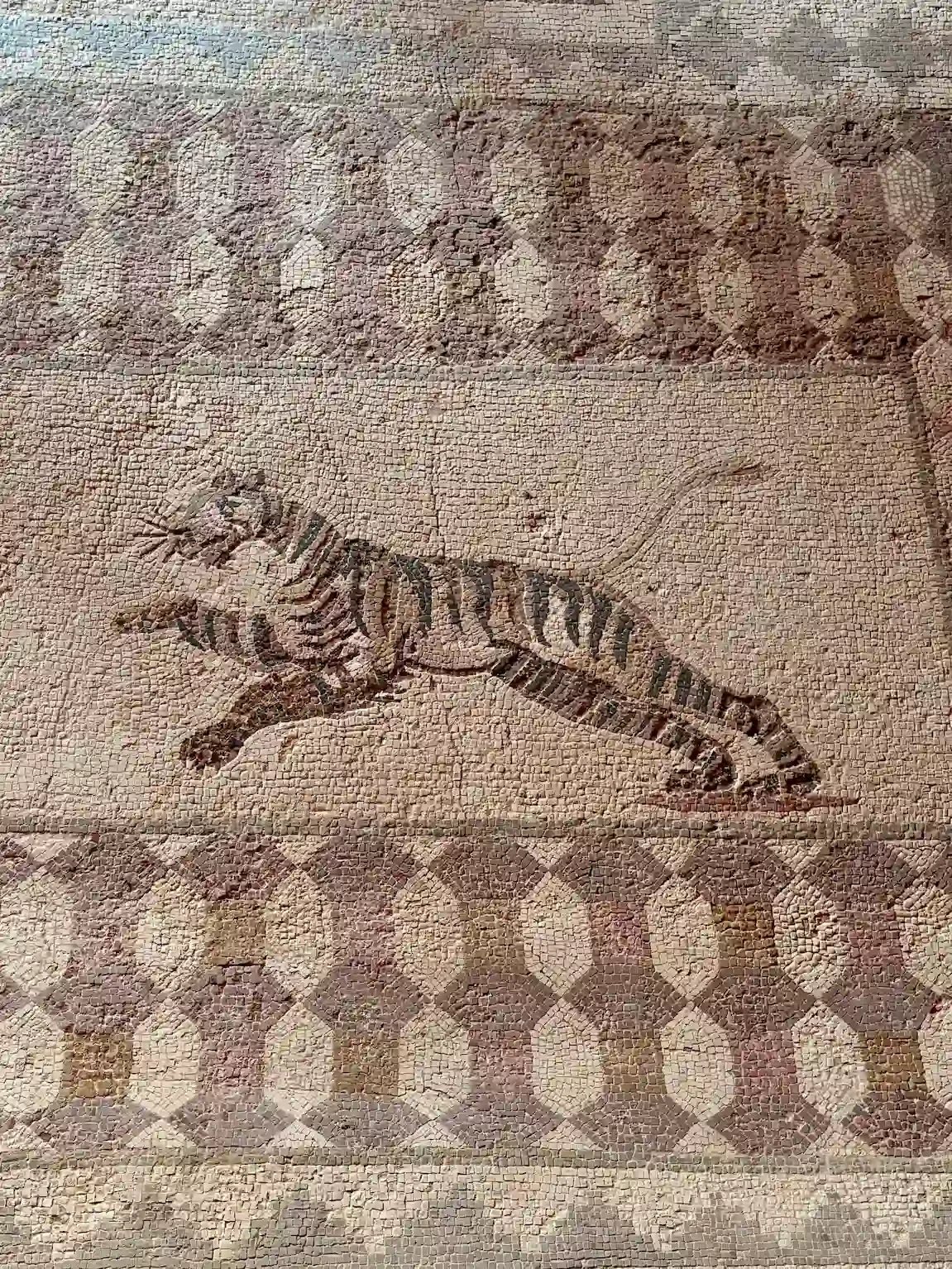 Mosaïque romaine représentant un tigre en pleine course, Maison de Dionysos, parc archéologique de Kato Paphos