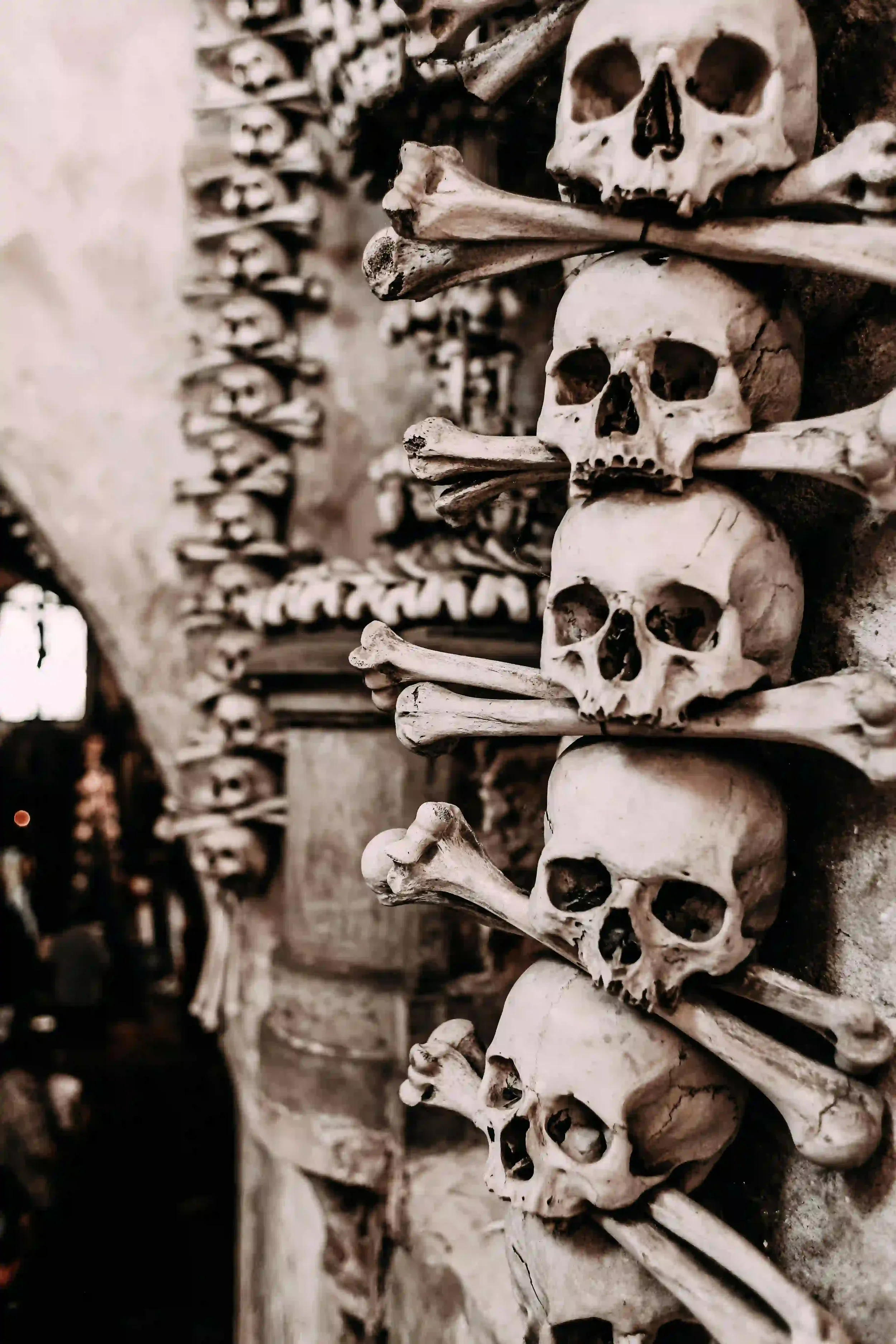 Crânes et ossements empilés dans un ossuaire, illustration du memento mori