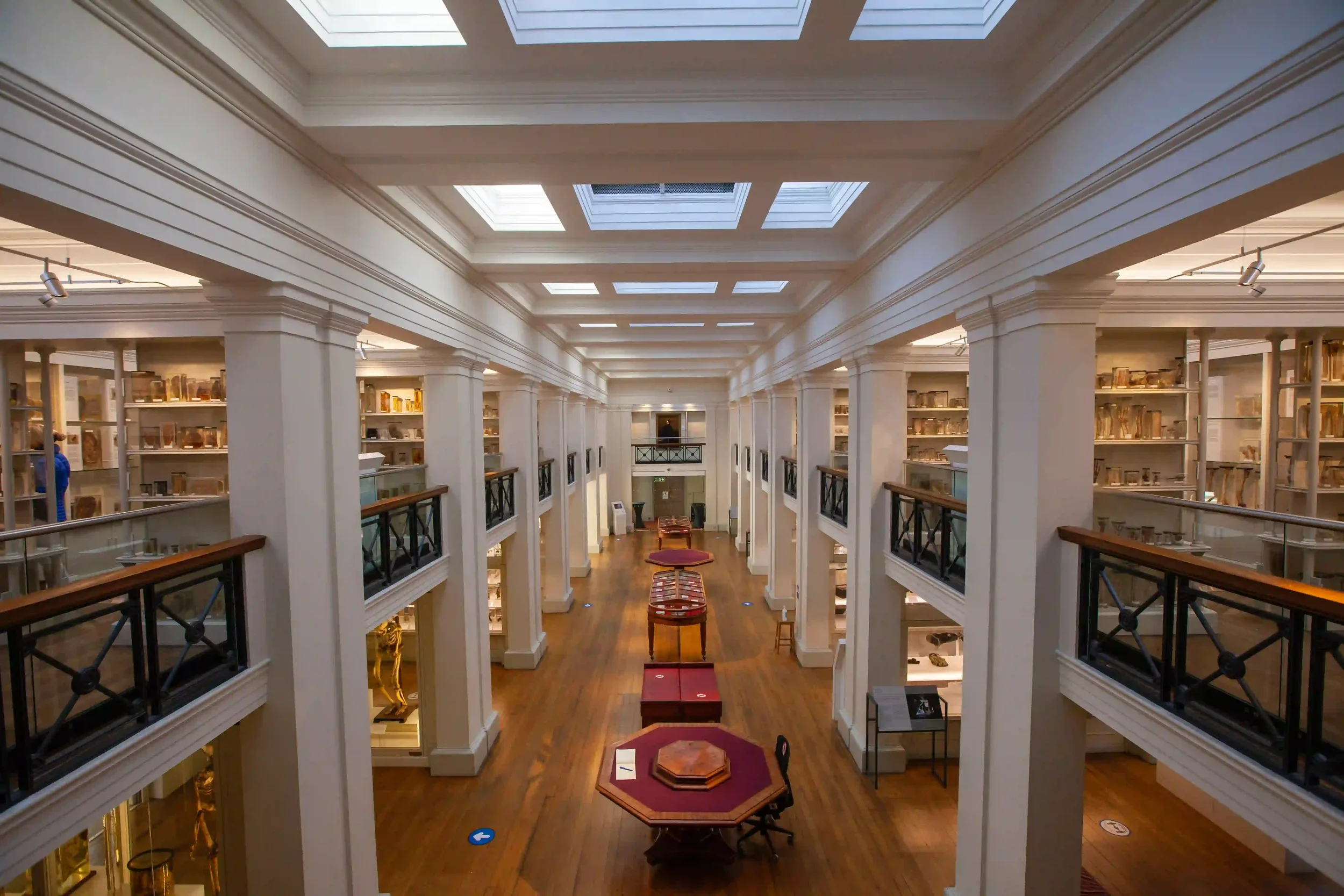 Galerie intérieure du Surgeons' Hall Museum à Édimbourg, musée d'anatomie de l'université