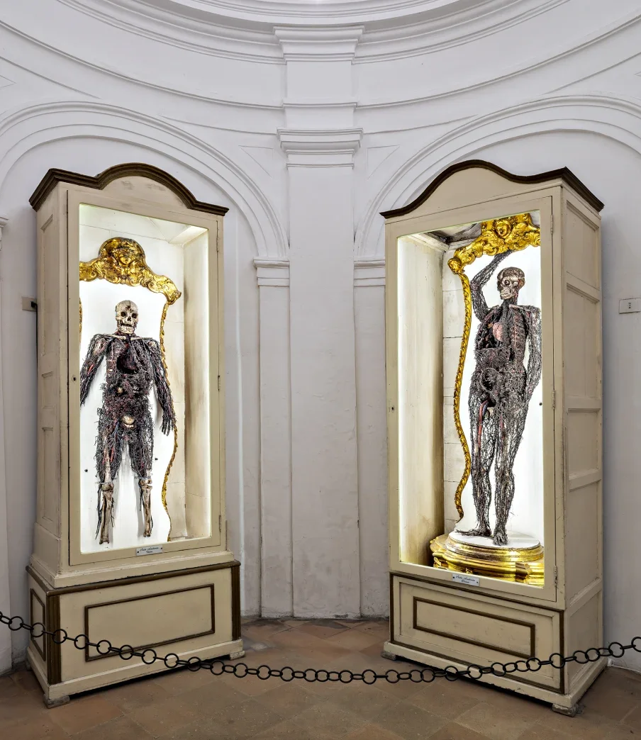 Les deux machines anatomiques de la chapelle Sansevero à Naples — squelettes d'un homme et d'une femme avec leur système artério-veineux reconstitué, conservés dans des vitrines dorées dans la crypte.
