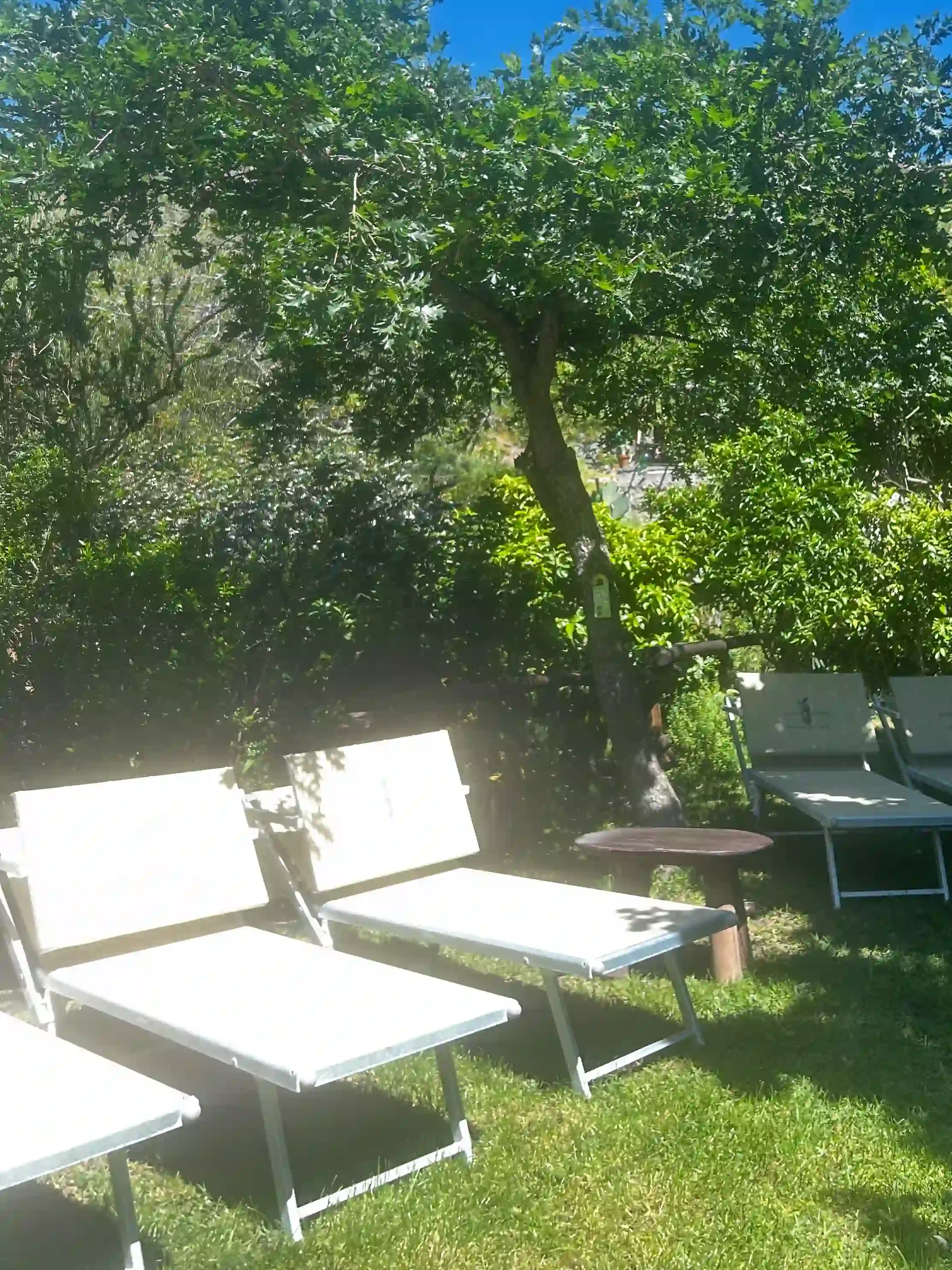 Transats blancs à l'ombre des arbres dans le jardin thermale de Nitrodi, Ischia