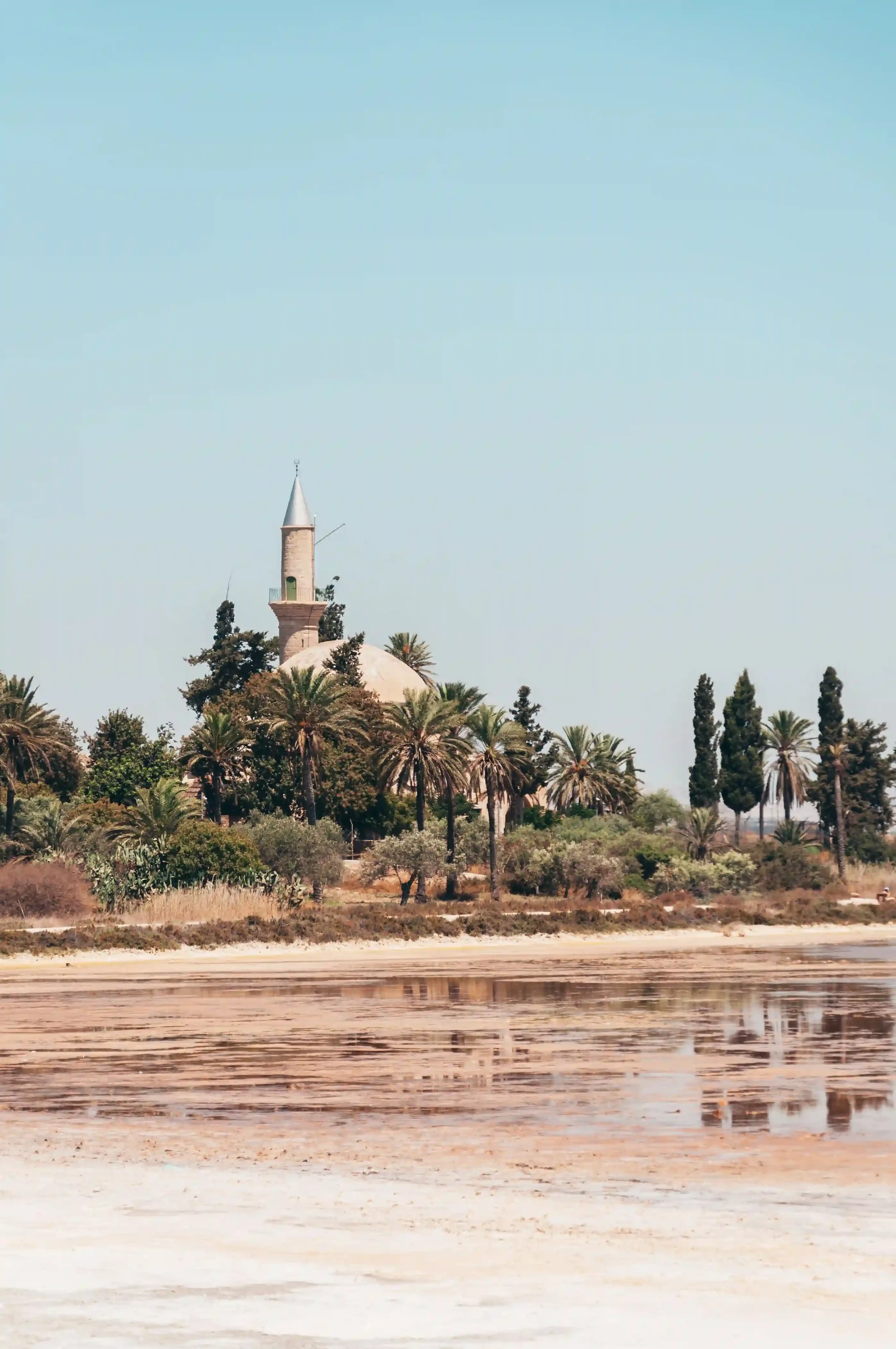Minaret et coupole de la mosquée Hala Sultan Tekke entourés de palmiers, sur les rives du lac salé de Larnaca
