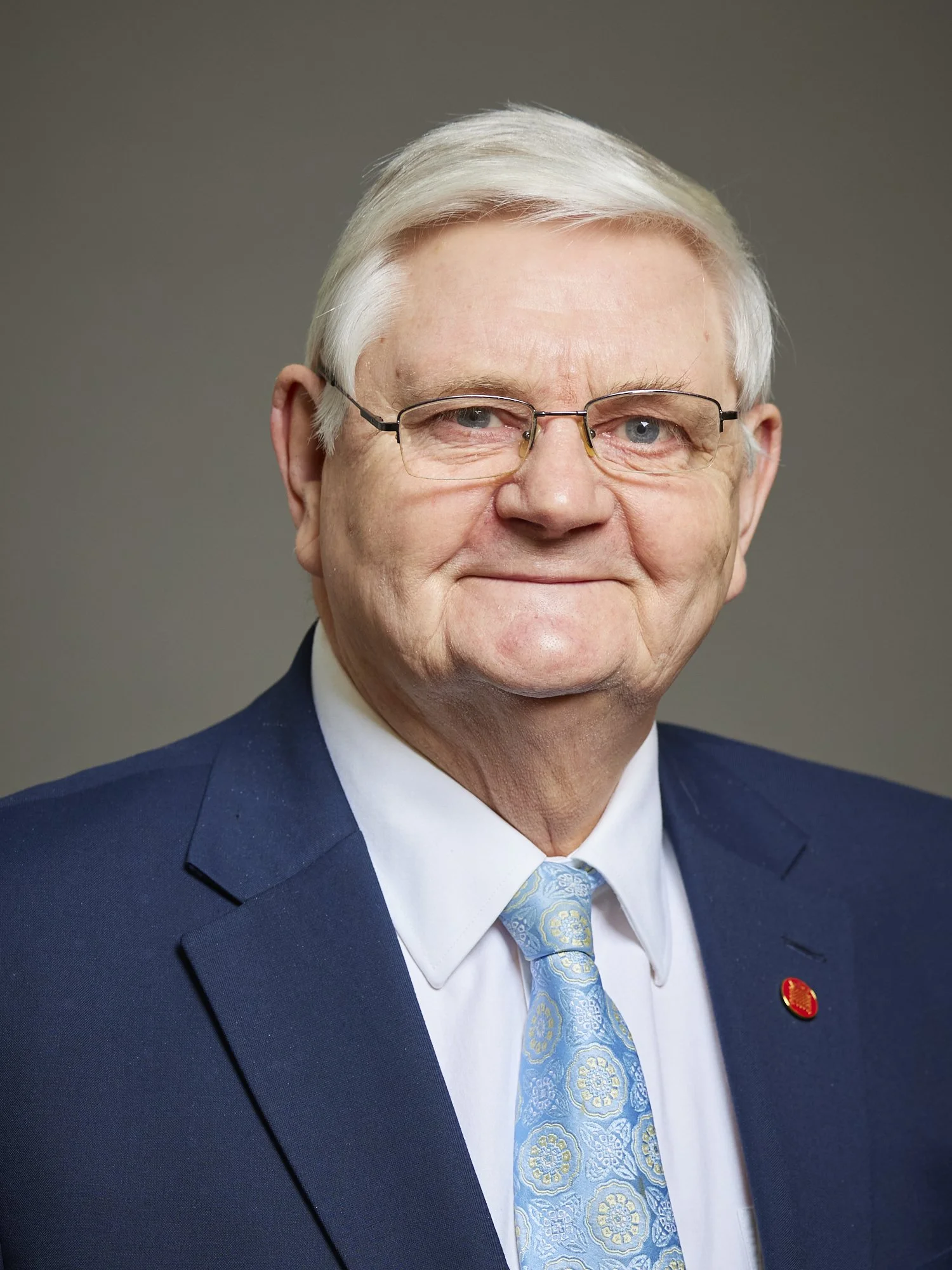 Lord Goddard of Stockport, Liberal Democrat