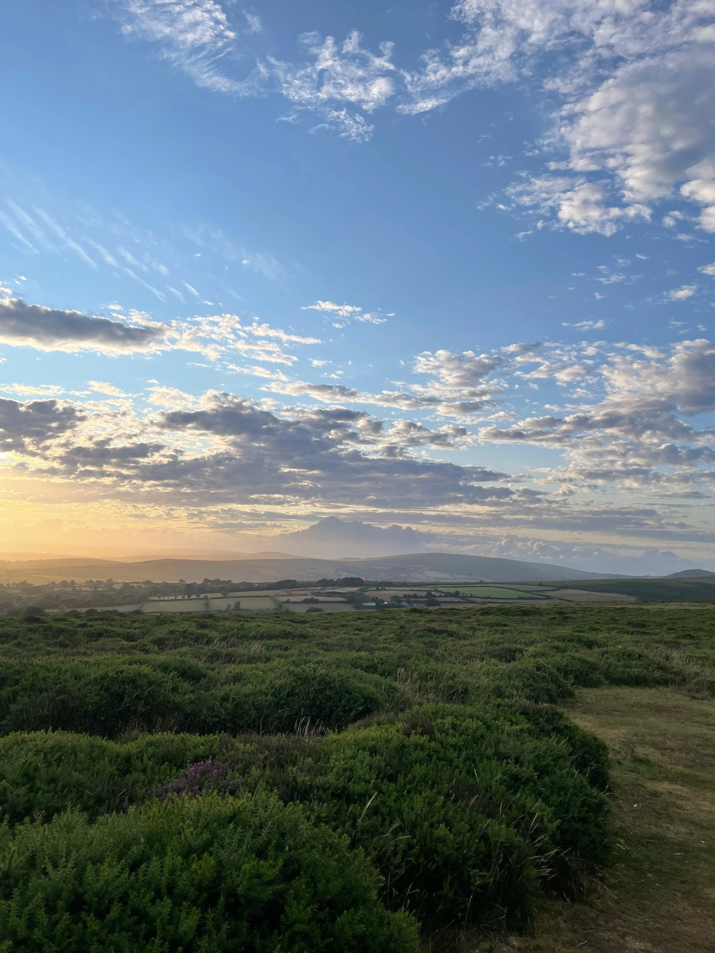 A scenic landscape of green fields and bushes under a partly cloudy sky during sunset or sunrise, with mountains in the distance.