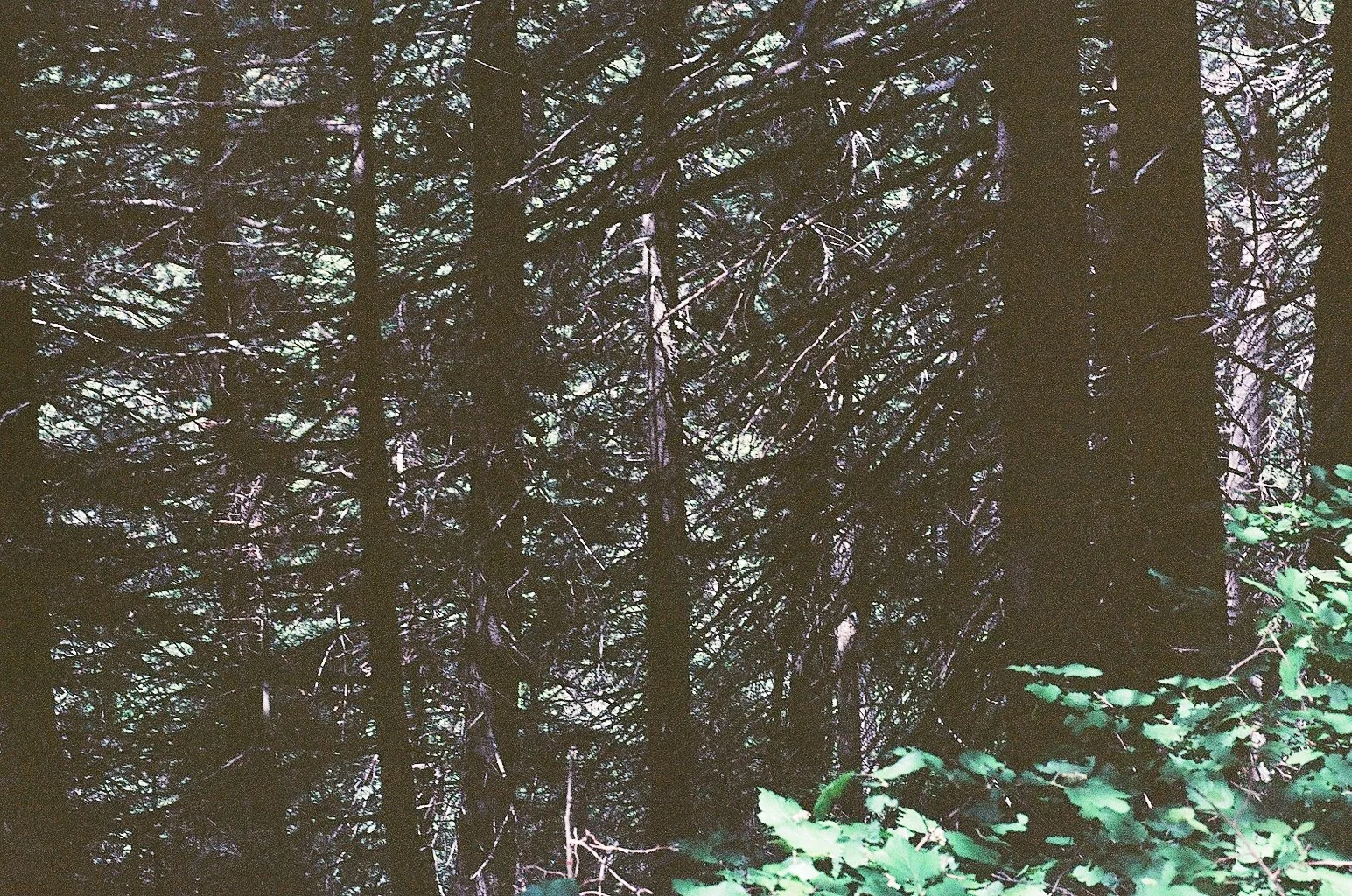 260616000012840027.jpg