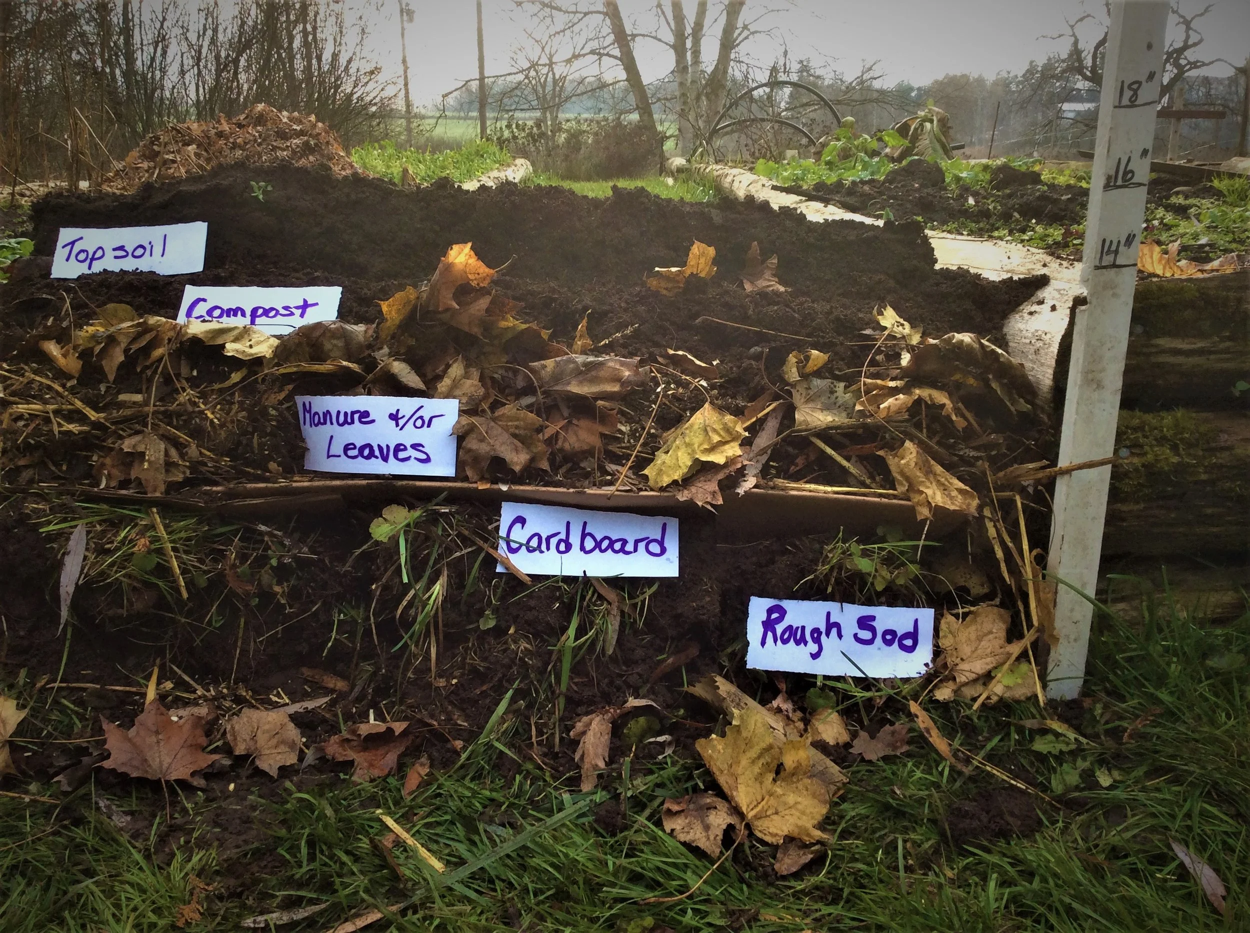 Compost Extract Efficiency Learning Session