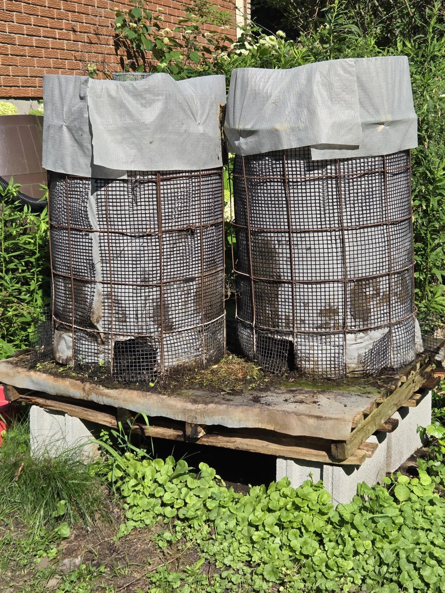 Backyard Compost “Bioreactor” session
