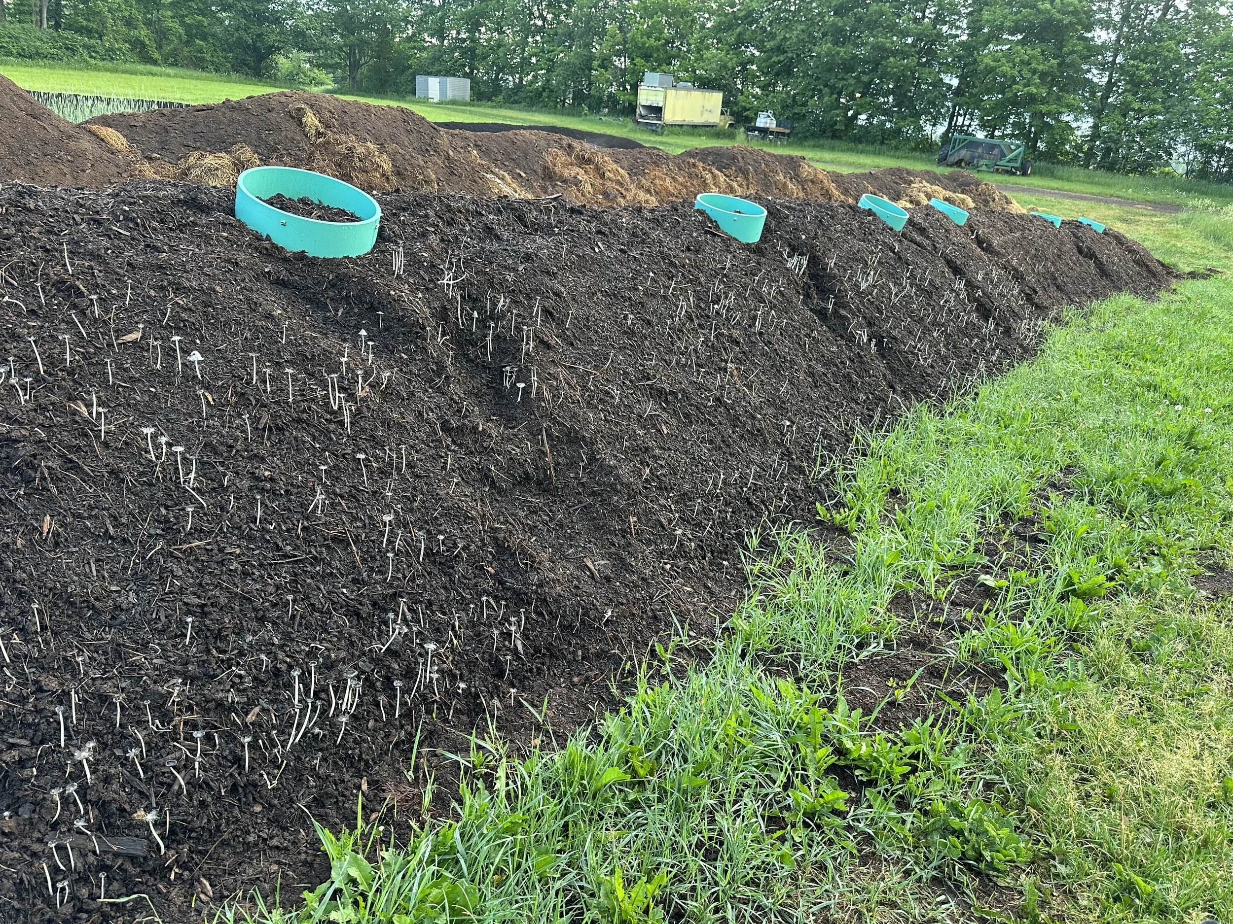 Compost, BioChar, &amp; Hydrolosis: Learning @ Birdseye Farm