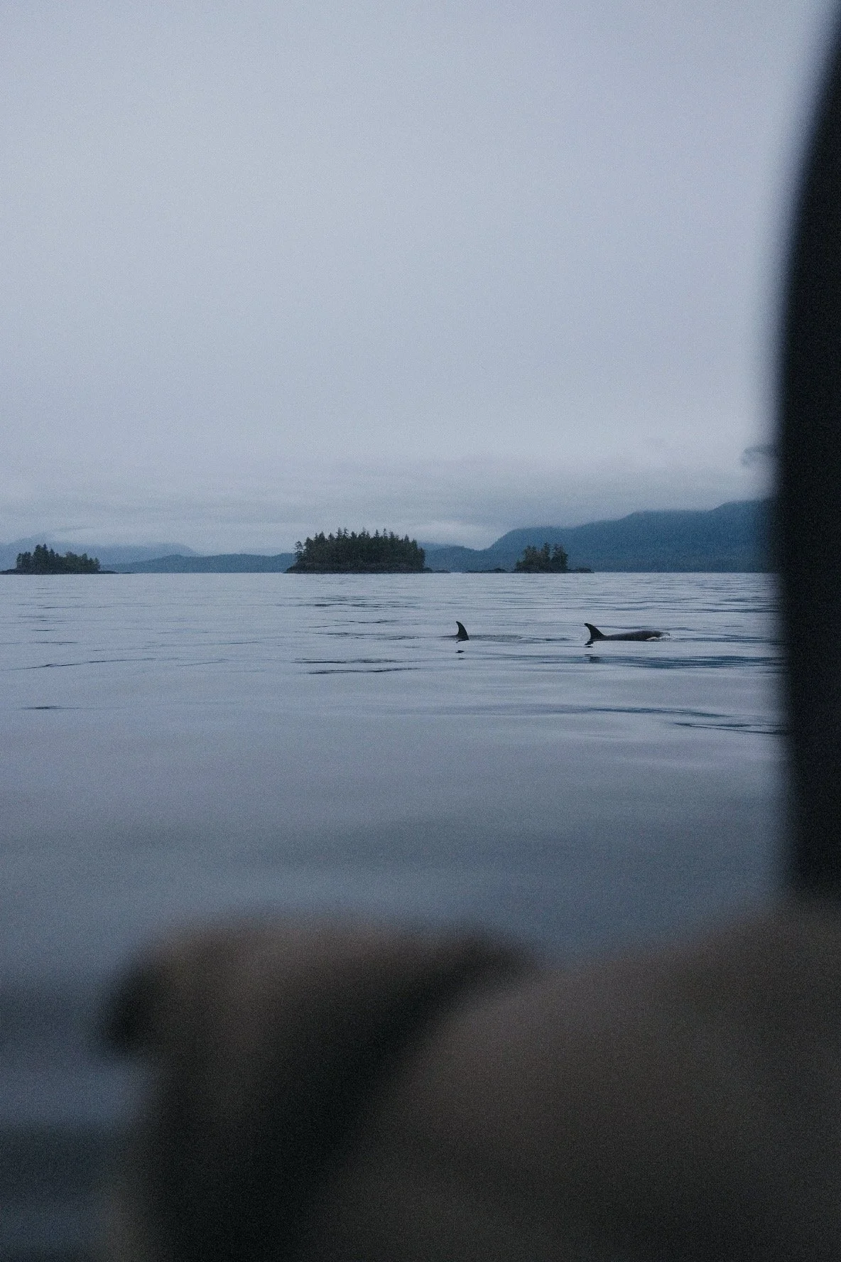 AfterlightImage 28.JPG