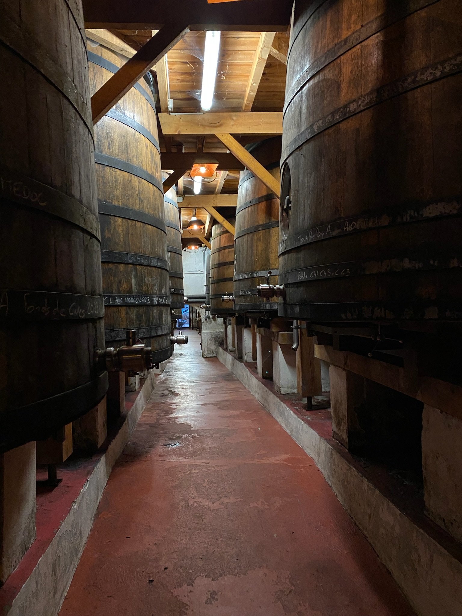 A narrow walkway between large wooden wine barrels in a cellar with wooden beams and a fluorescent light fixture on the ceiling.