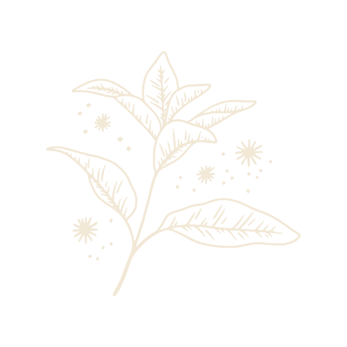 Weiße Illustrationen von Blättern und Blüten auf schwarzem Hintergrund