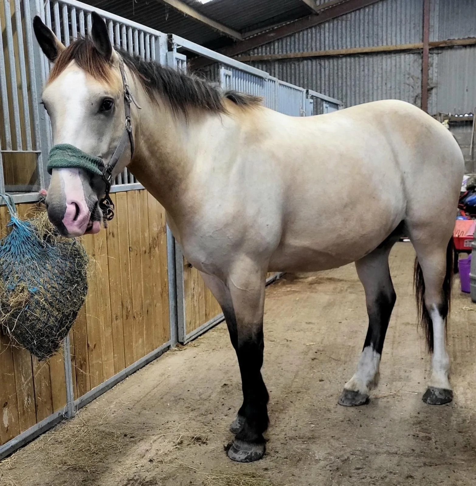 WhatsApp Image 2025-09-19 at 03.22.43 (1).jpeg