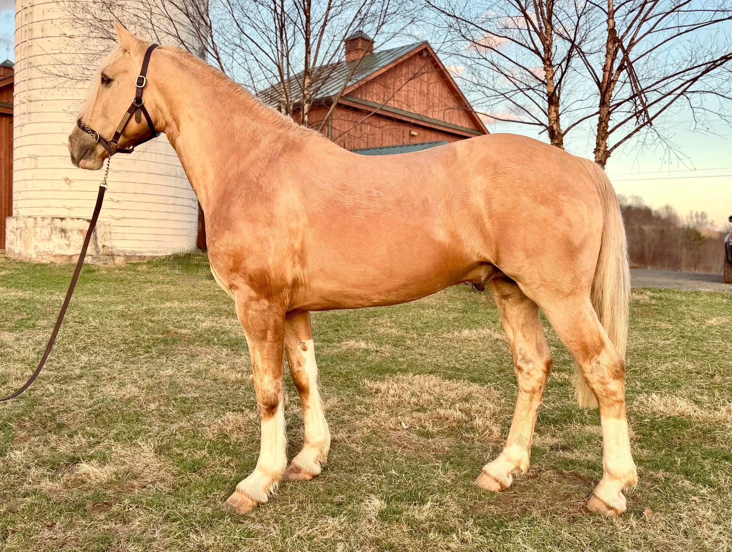 Dylasau Arthur Tudor