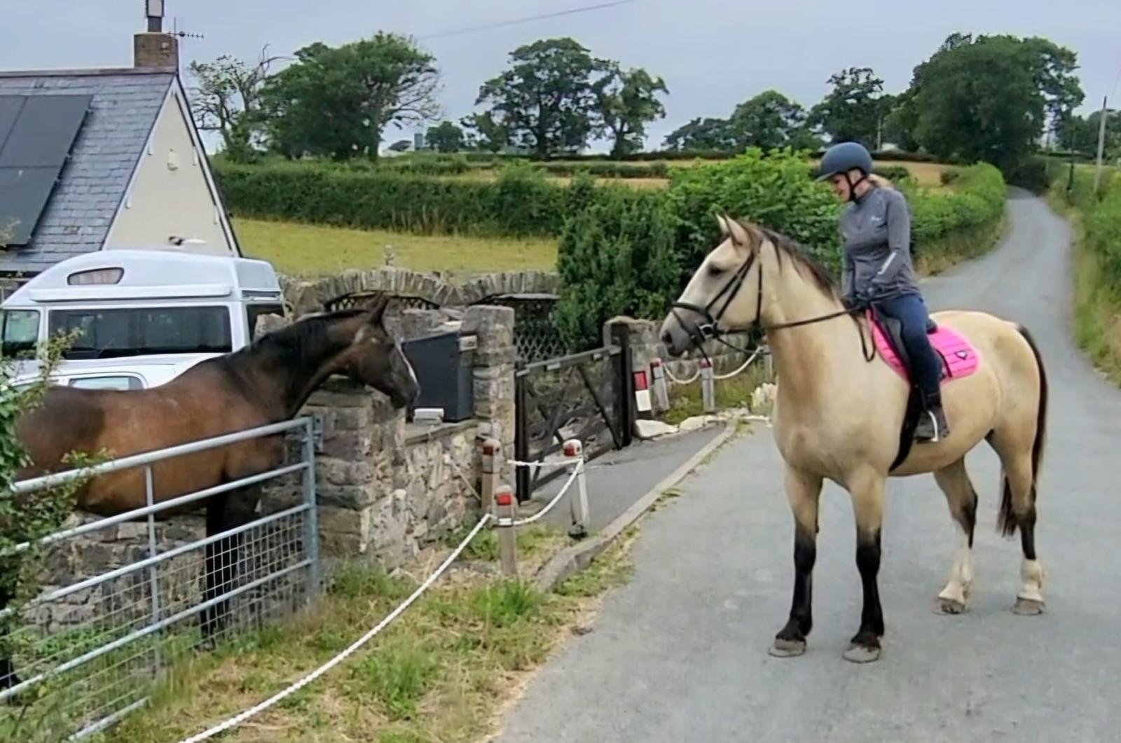 WhatsApp Image 2025-09-19 at 03.22.44 (1).jpeg