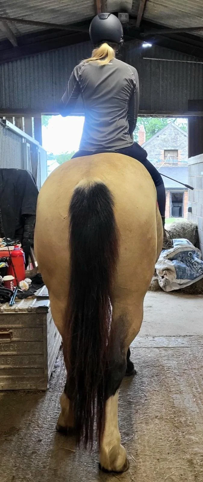 WhatsApp Image 2025-09-19 at 03.22.42 (3).jpeg