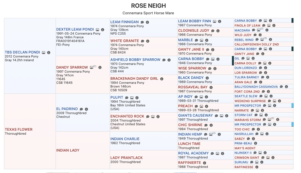 Rose Neigh Pedigree.png