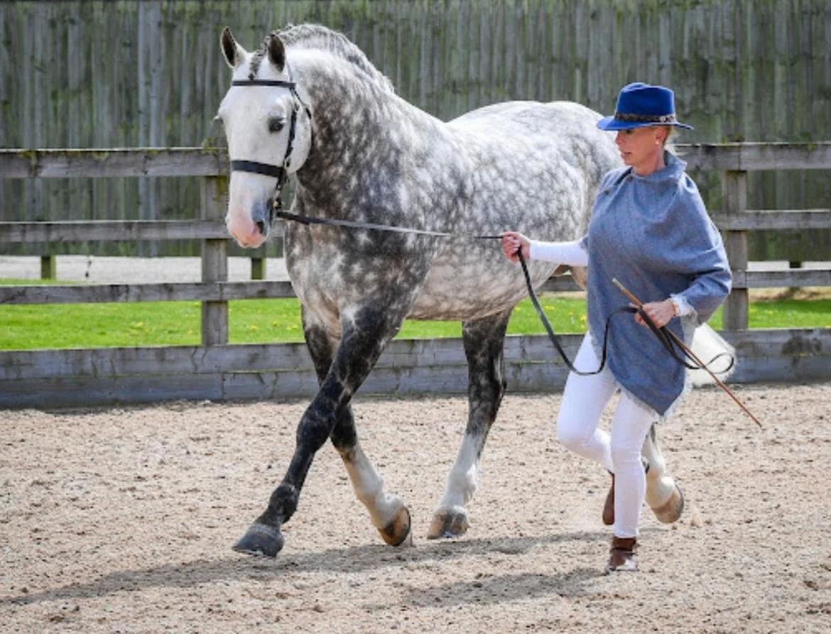 Cappa Sarsfield 2.JPG