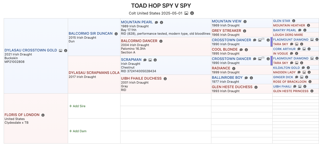 Spy vs Spy pedigree.png