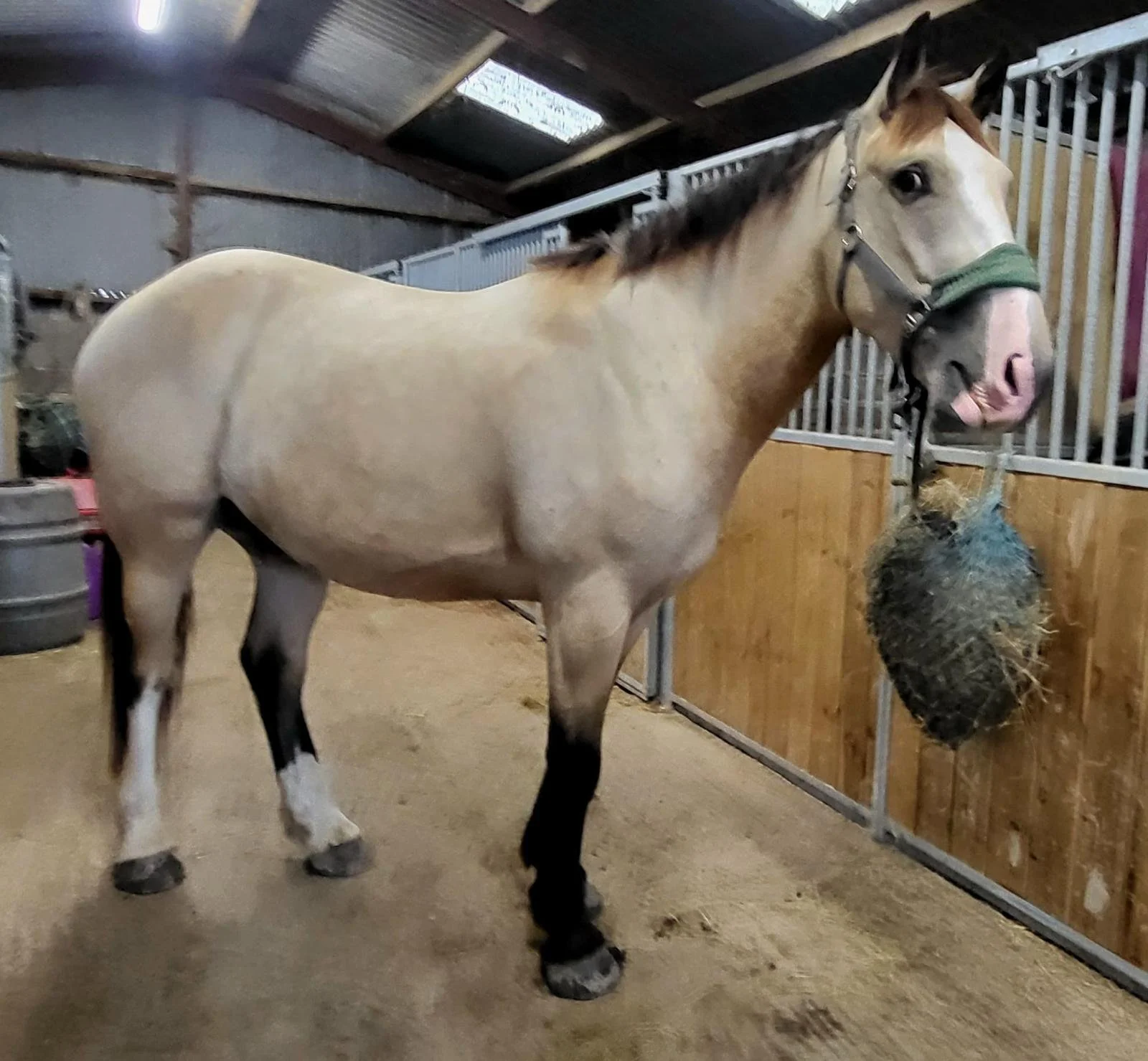 WhatsApp Image 2025-09-19 at 03.22.43 (3).jpeg