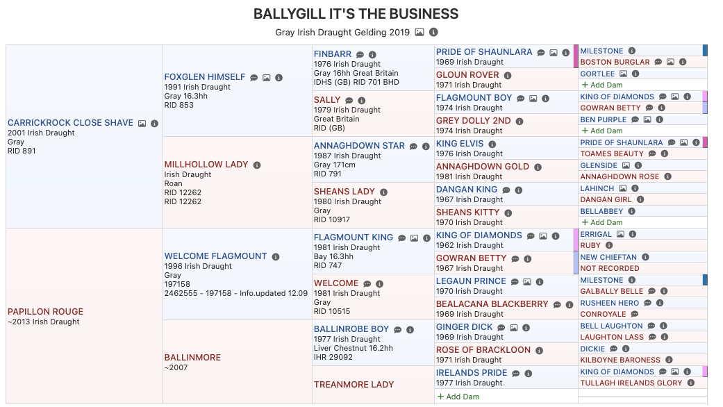 Ballygill Its the Business Pedigree.png