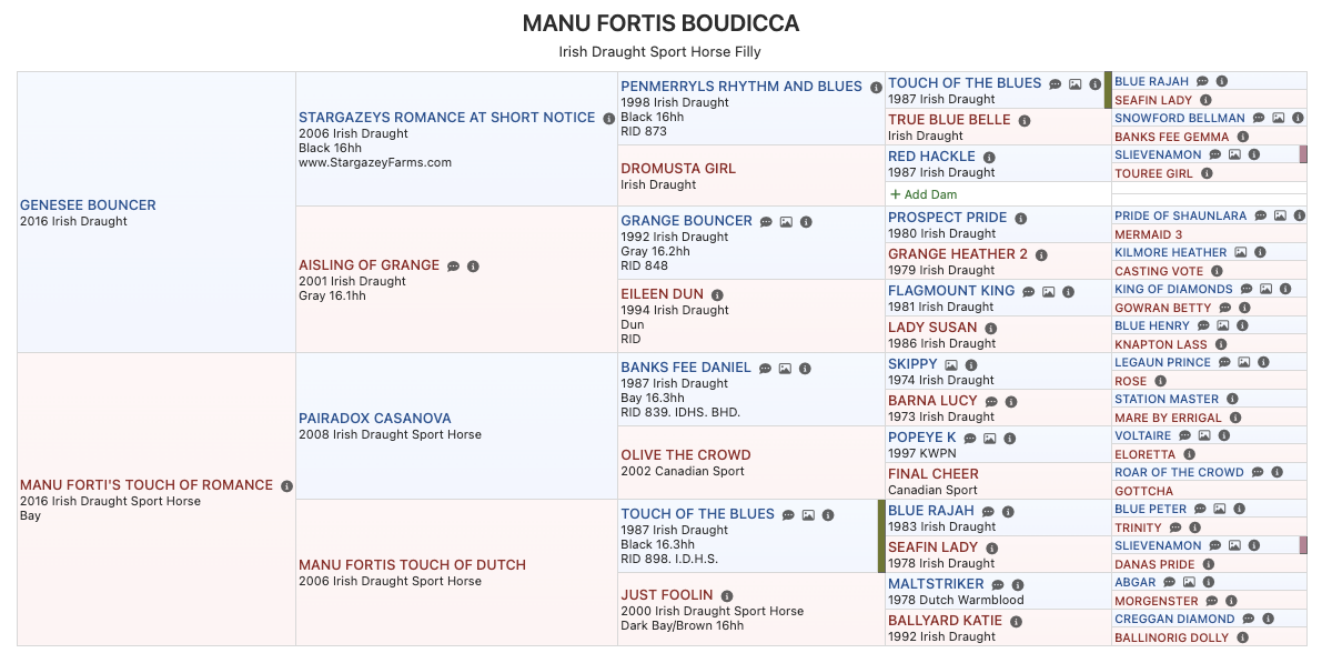 Boudicca Pedigree.png