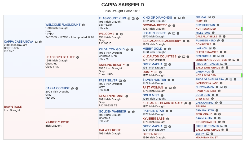 Cappa Sarsfield Pedigree.png