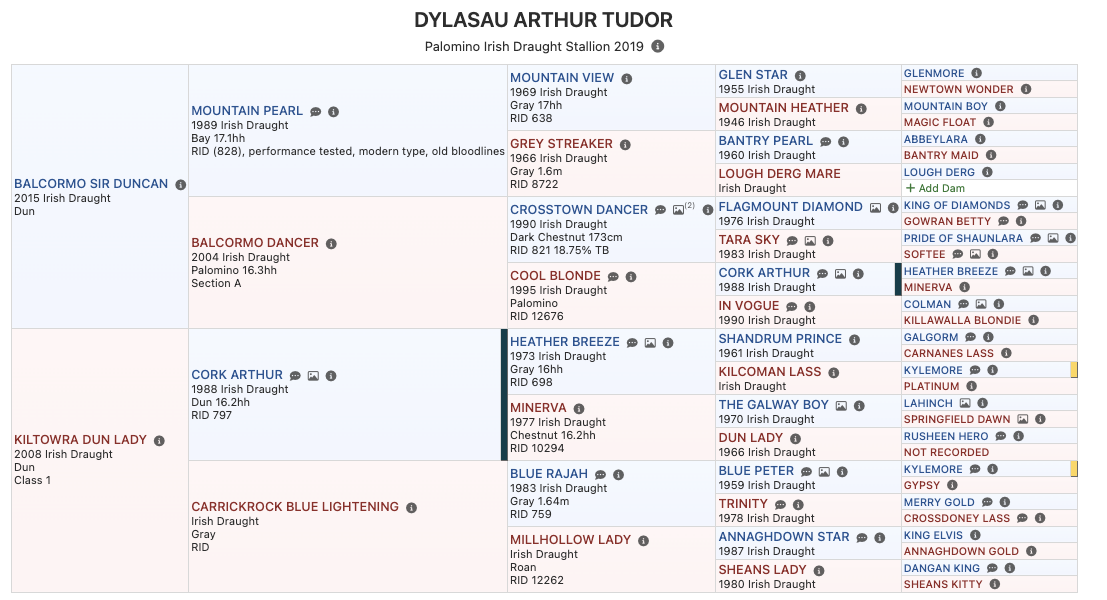 Arthur Tudor Pedigree.png