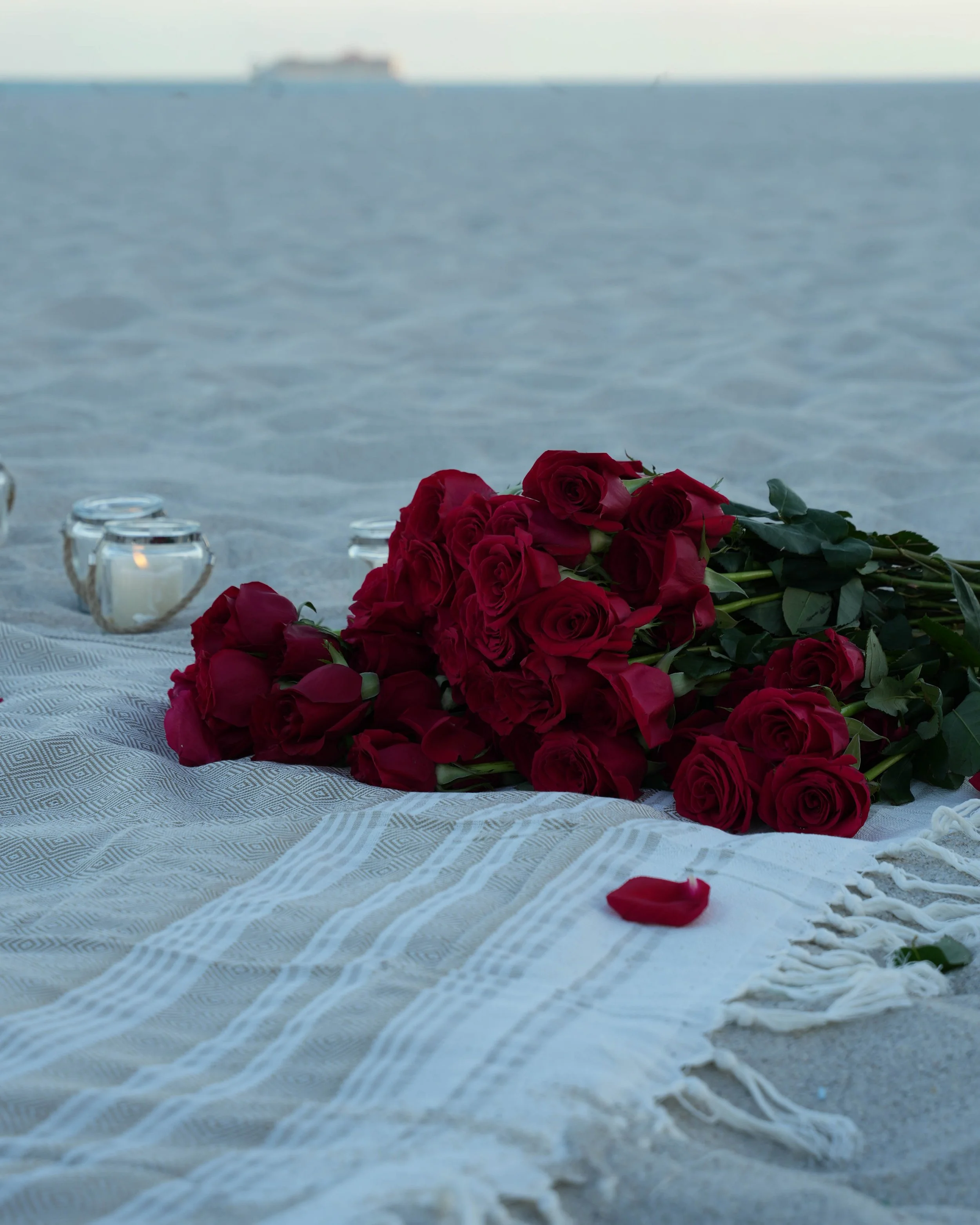 Alex & Taylor Engagement-15.JPG