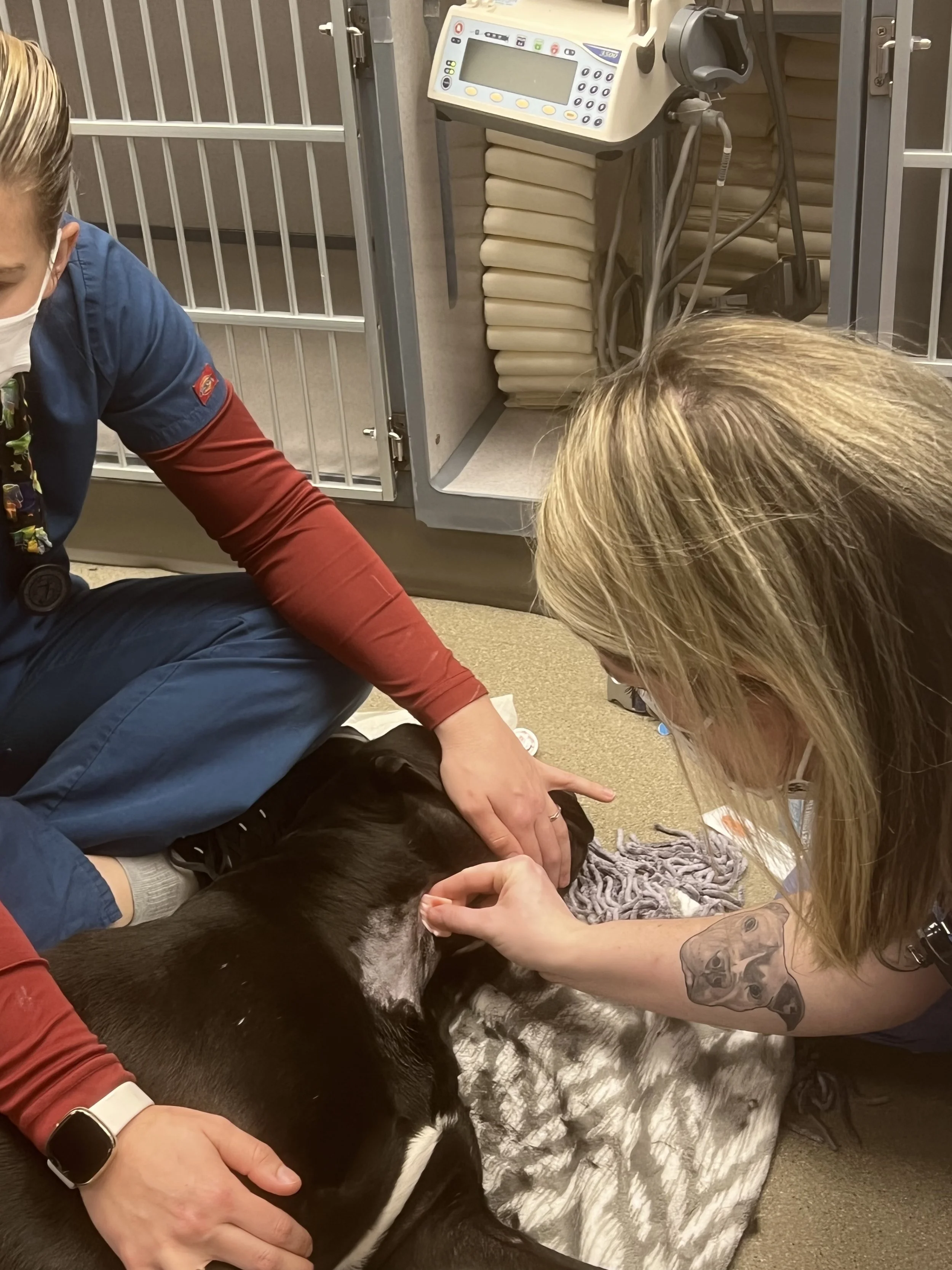 Custom Hospital Training Programs