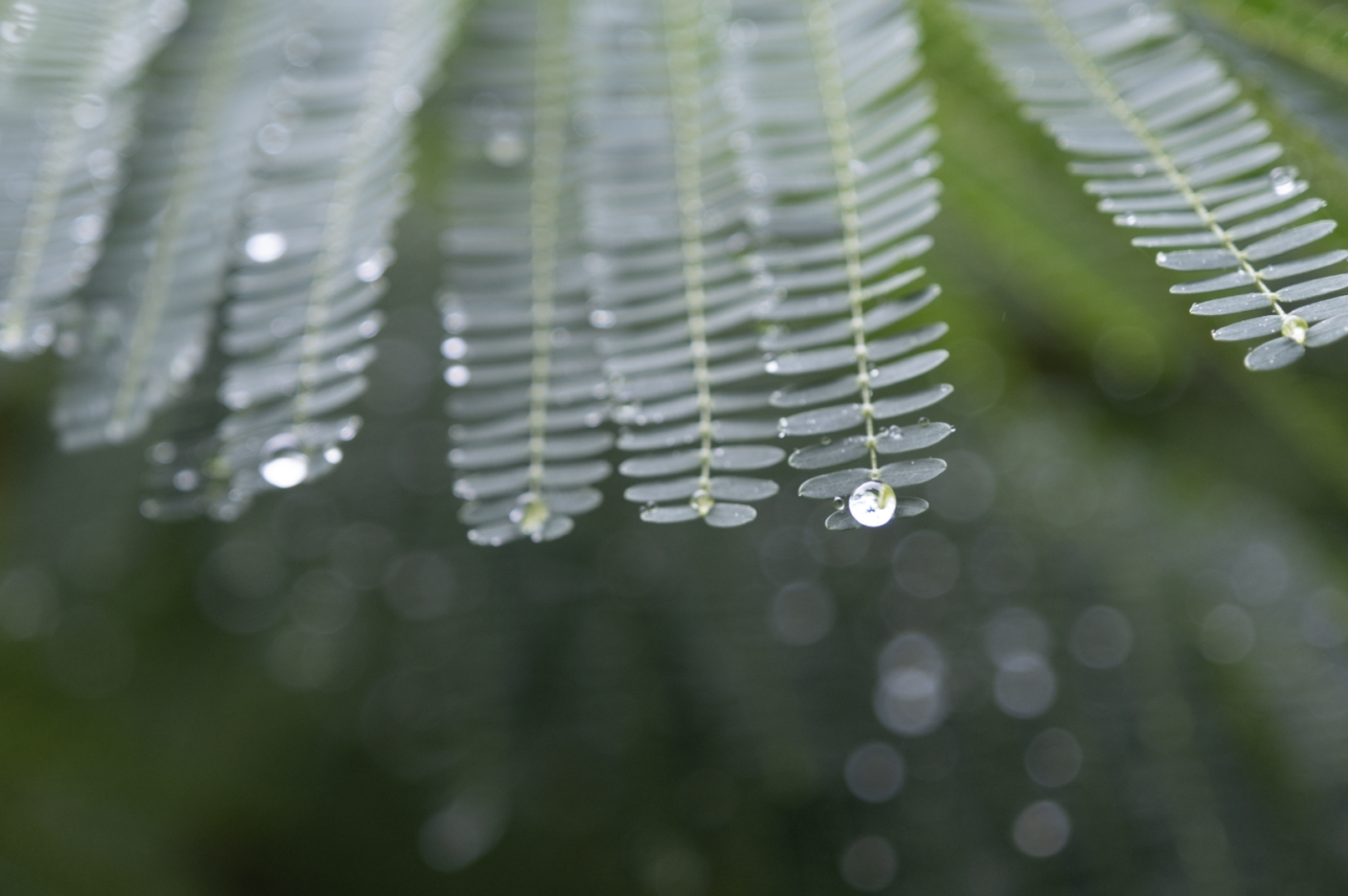 Screen Shot 2022-08-02 at 10.50.13 AM.png