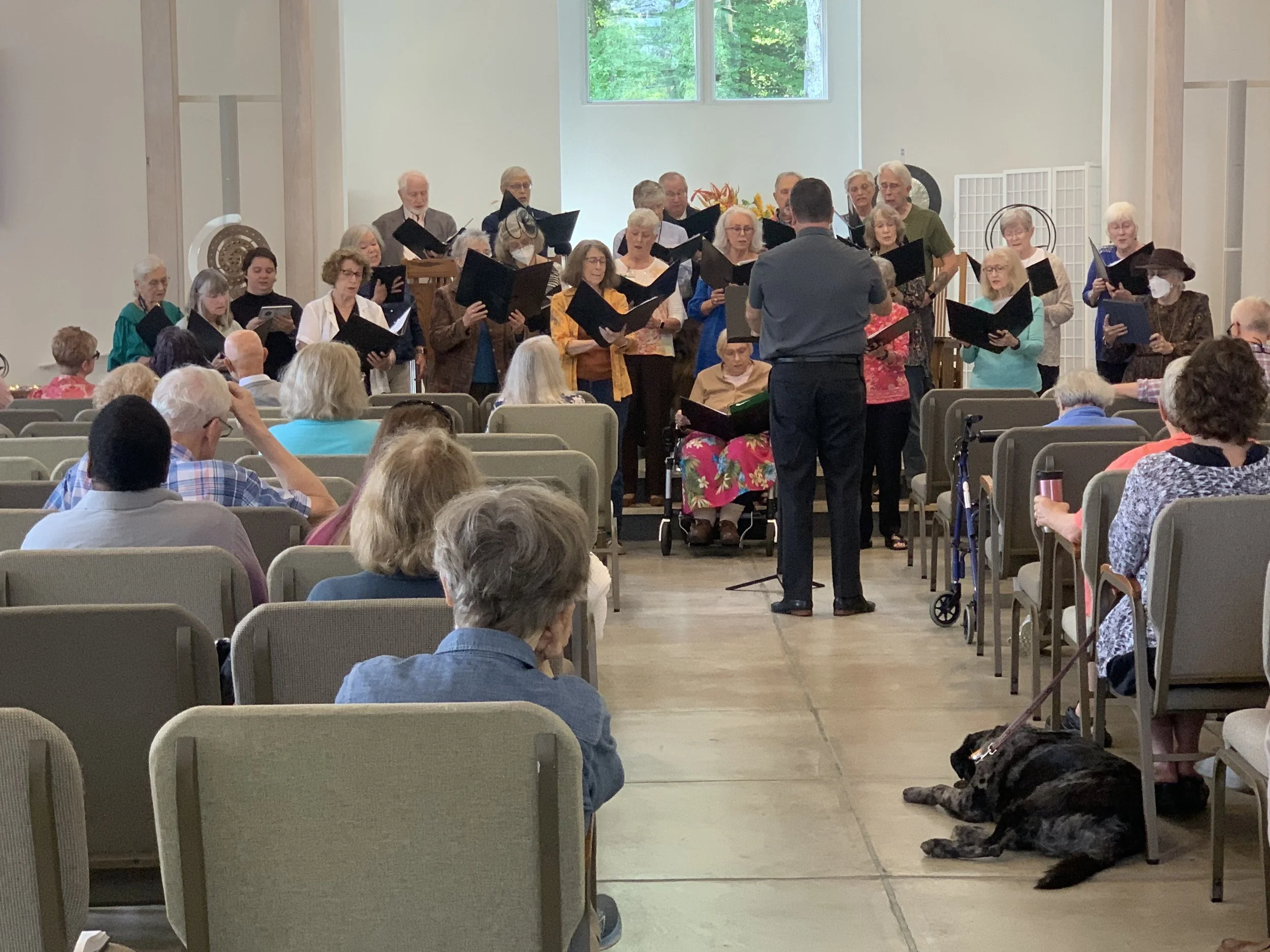 dog in aisle with choir.jpeg