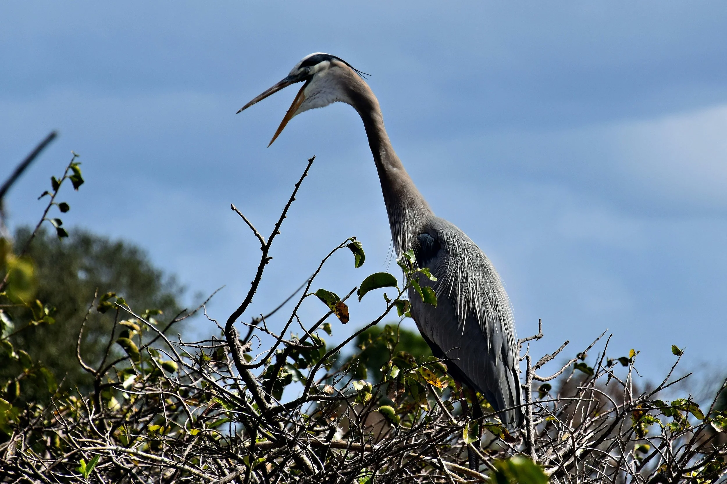 Sunday Service 4/27/2025