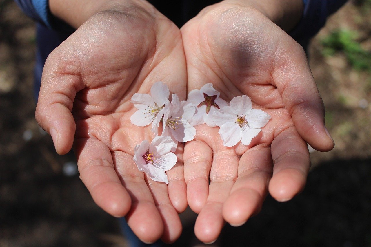 What Is YOUR Delightful Offering for the WUU Annual Auction???