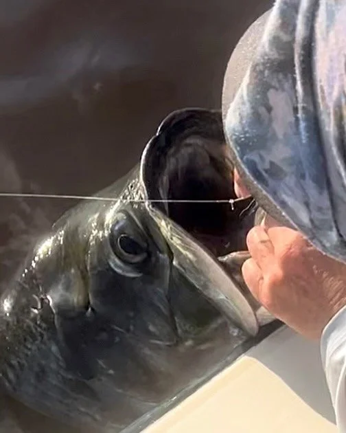 Incredible trip to the Everglades with my first favorite fishing buddy, my Dad @weadapt4u Trip was a 10+, borderline 11!