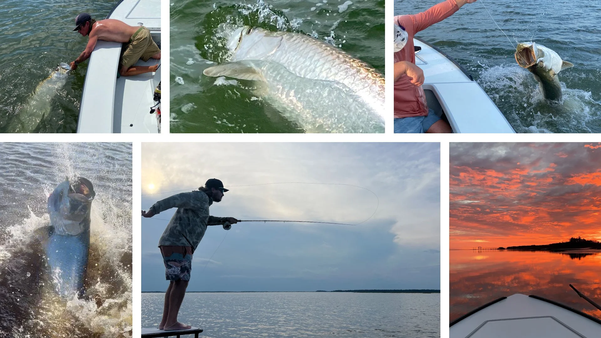Fly and light tackle fishing charters for tarpon in Charleston, SC.